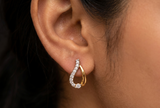 Aristate Leaf Studs