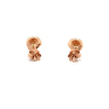 LITTLE WONDER -BROD EARRINGS