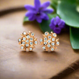 Diamond Studs, Diamond earrings, earring, gold Earring, dimoand jewellery, Efif diamond Jewellery