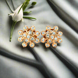 Diamond Studs, Diamond earrings, earring, gold Earring, dimoand jewellery, Efif diamond Jewellery