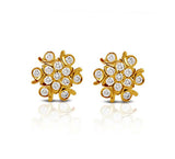 The Sneham Closed Setting 22k Diamond Stud