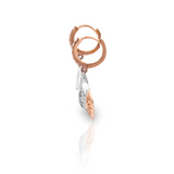 Diamond Studs, Diamond earrings, earring, gold Earring, dimoand jewellery, Efif diamond Jewellery