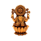 Lord Vignharta Idol