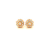 Diamond Studs, Diamond earrings, earring, gold Earring, dimoand jewellery, Efif diamond Jewellery