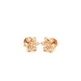 Diamond Studs, Diamond earrings, earring, gold Earring, dimoand jewellery, Efif diamond Jewellery