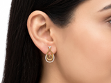 Alluring Spiral Drop Earrings