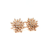 Diamond Studs, Diamond earrings, earring, gold Earring, dimoand jewellery, Efif diamond Jewellery 