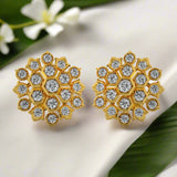 Diamond Studs, Diamond earrings, earring, gold Earring, dimoand jewellery, Efif diamond Jewellery 