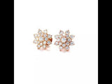 EFIF Diamod Jewellery Aduku diamond Stud Earrings